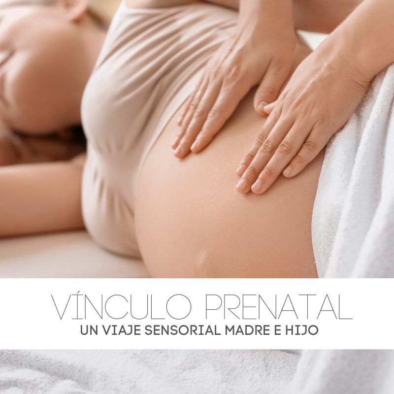 Vínculo Prenatal - (EMBARAZADAS) - 60 minutos